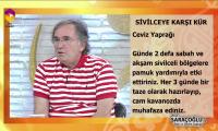 prof-saracoglu-sivilceye-karsi-kur