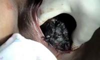 normal-dogum-son-asama--hamilelik-ve-dogum-izle-video